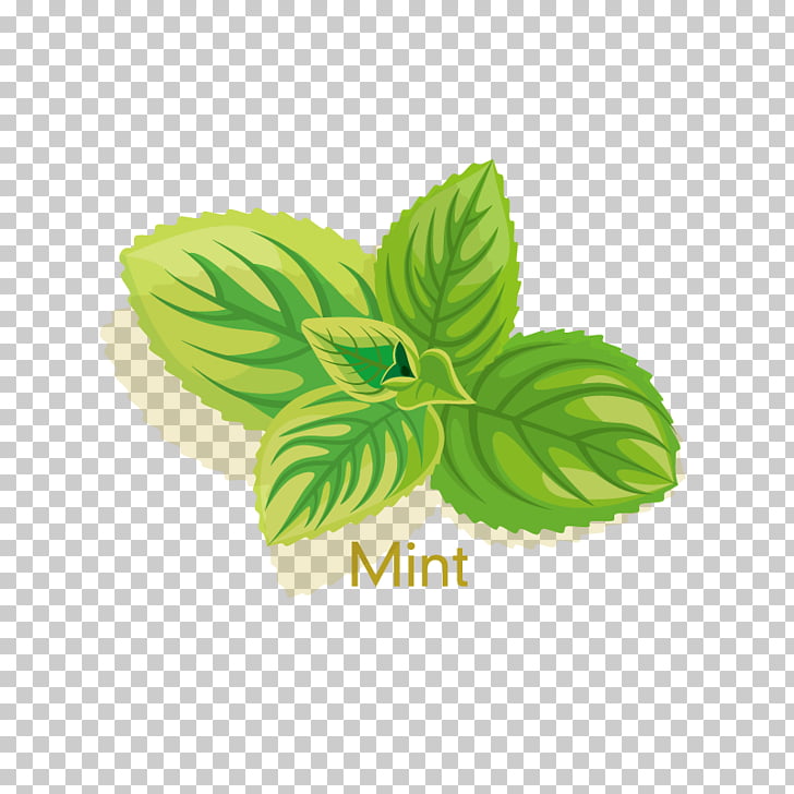728x728 Cosmetics Peppermint Herb Icon, Mint Png Clipart Free Cliparts