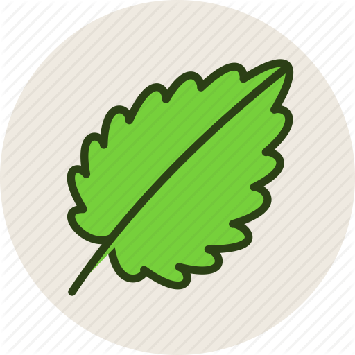 512x512 Food, Herb, Leaf, Plant, Salad Icon