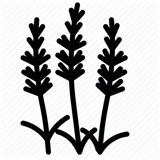 512x512 Herb, Lavender Icon
