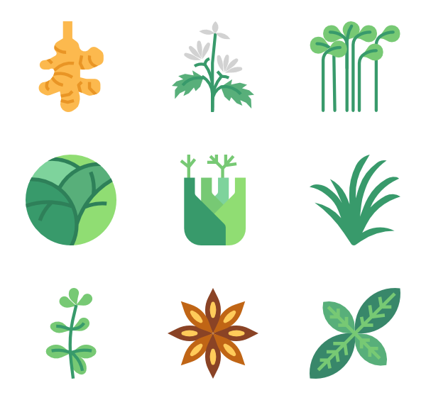 600x564 Herbs Icons