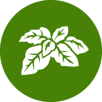 200x200 Icons Png Download Herbs