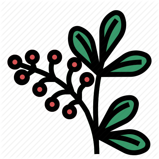 512x512 Barberry, Herb Icon