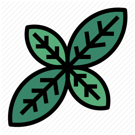 512x512 Basil, Herb Icon