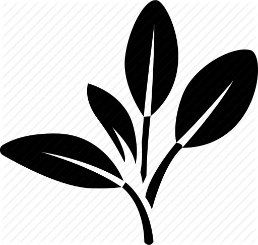 512x485 Common, Cooking, Fresh, Garden, Herb, Leaves, Sage Icon