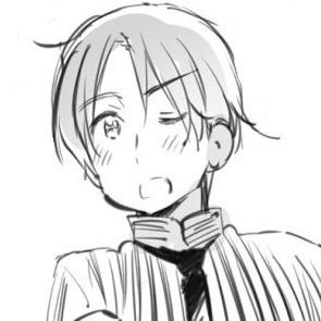 295x295 Hetalia World Stars Icons Part Four Hetalia Amino