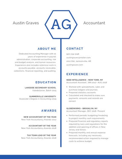 Blue Hexagon Icon Professional Resume 425x550 Blue Hexagon Icon Professional Resume