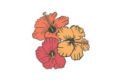Hibiscus Flower Icon at Vectorified.com | Collection of Hibiscus Flower ...