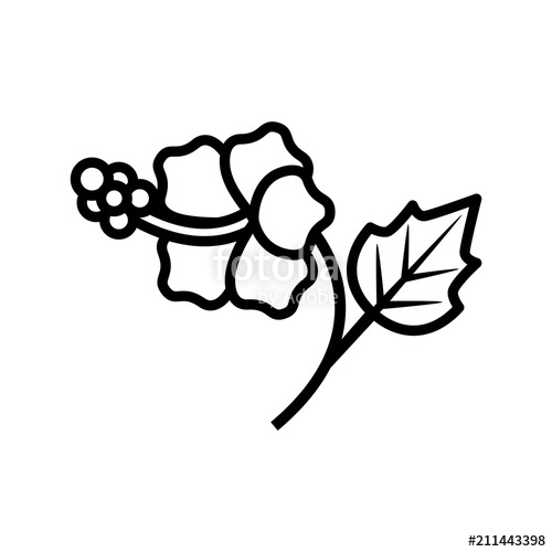 500x500 Hibiscus Flower Icon Stock Image And Royalty Free Vector