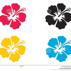 300x300 Stock Illustration Hibiscus Flower Vector Illustration Icon Colors