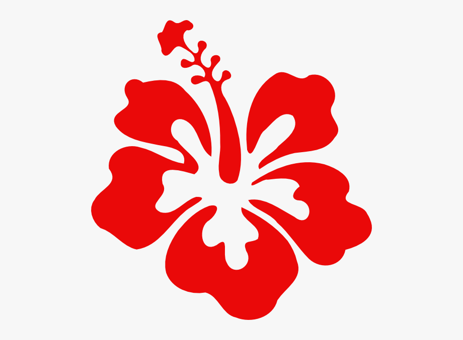 920x677 Flower Petals Icon Packs Vector