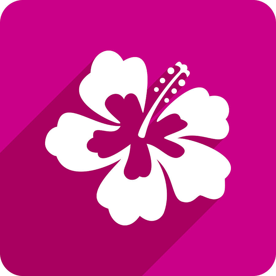 900x900 Hibiscus Icon Silhouette