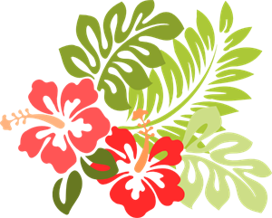300x241 Hibiscus Png, Clip Art For Web