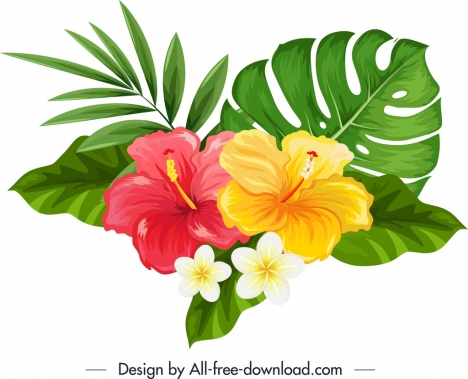 468x379 Natural Hibiscus Plumeria Flowers Icon Multicolored Sketch Vectors