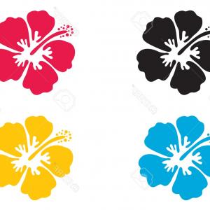 300x300 Photostock Vector Hibiscus Flower Vector Illustration Hibiscus