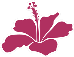 Hibiscus Icon at Vectorified.com | Collection of Hibiscus Icon free for ...