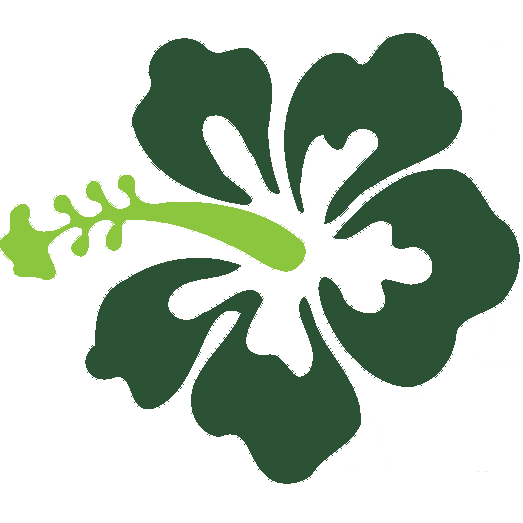 523x523 Hibiscus Icon