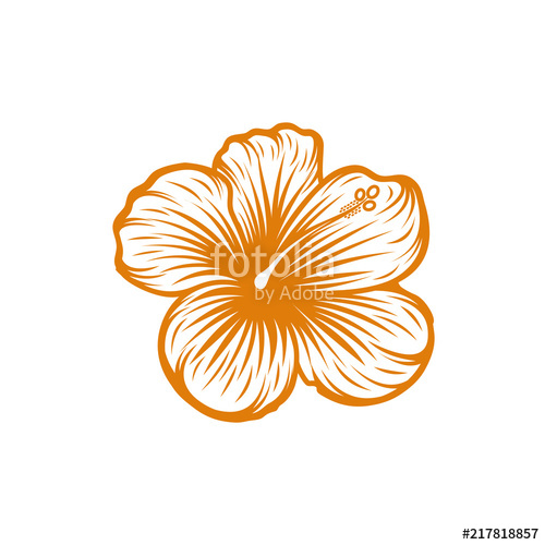 500x500 Hibiscus Icon Line Art Vector Illustration, Tropical Exotic Hawaii