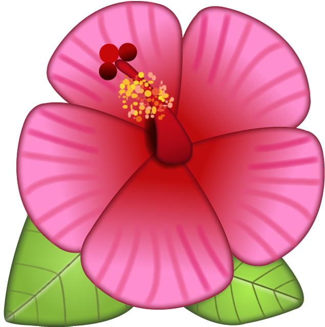 635x640 Download Hibiscus Flower Emoji Icon Download Free Icon Free