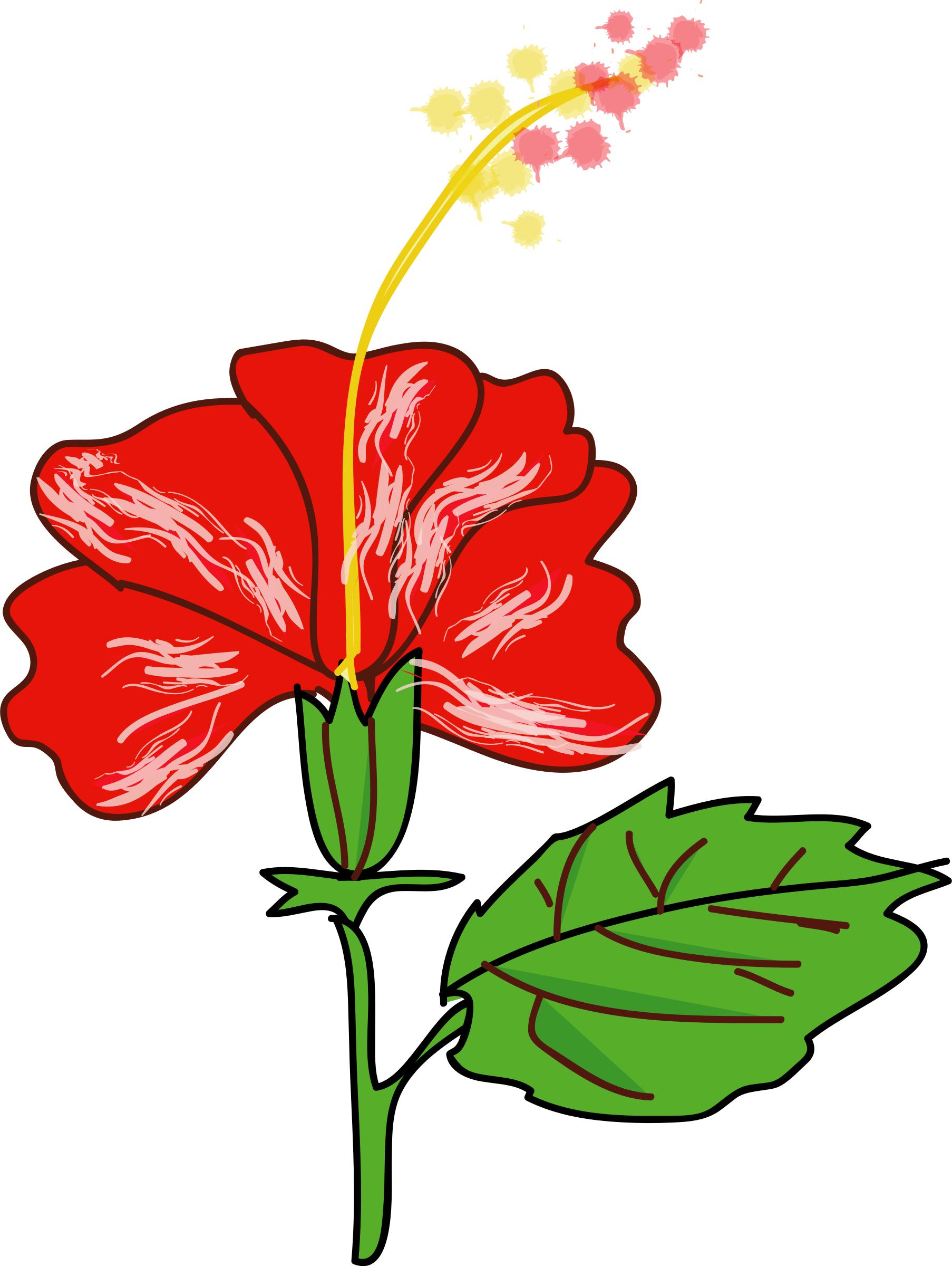 1806x2400 Flower Hibiscus Icons Png