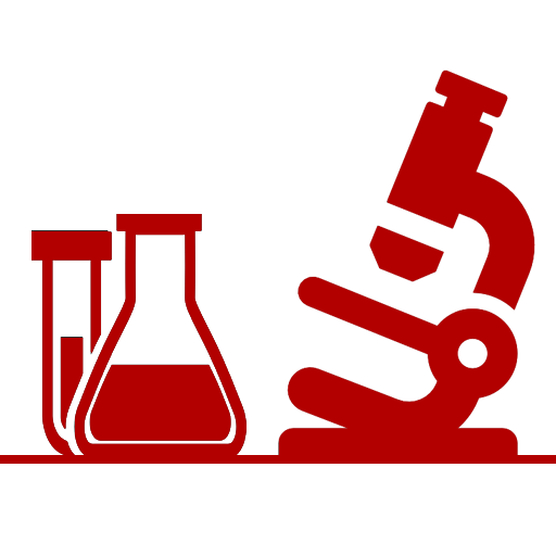 512x512 Dyslipidemia
