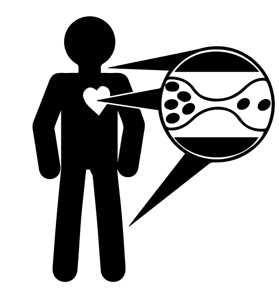 565x598 Fettler Health