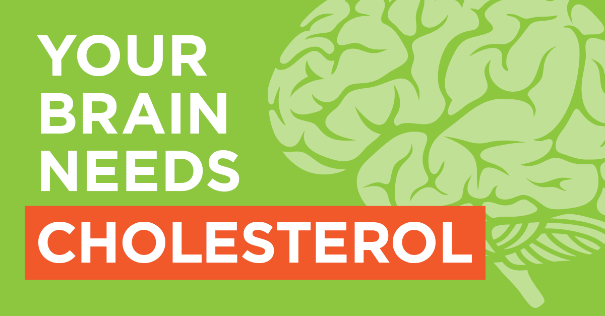 1200x627 Your Brain Needs Cholesterol