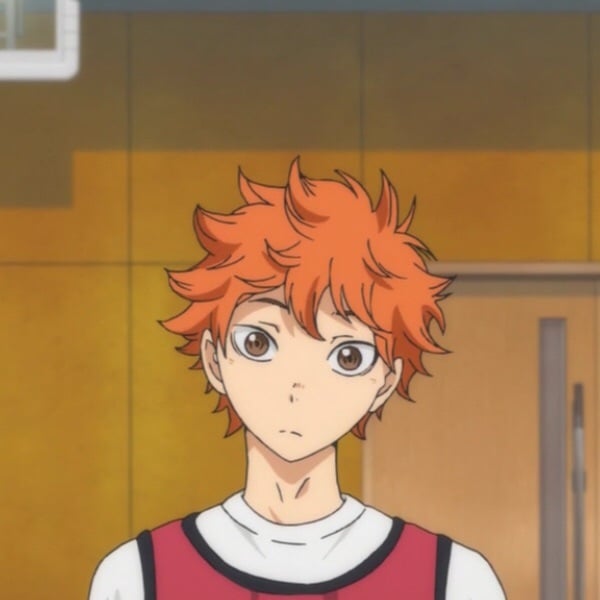 600x600 Hinata Haikyuu!! Shared