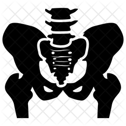 256x256 Hip Bone Icon Of Glyph Style