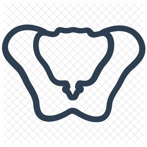 512x512 Hip Icon Of Line Style