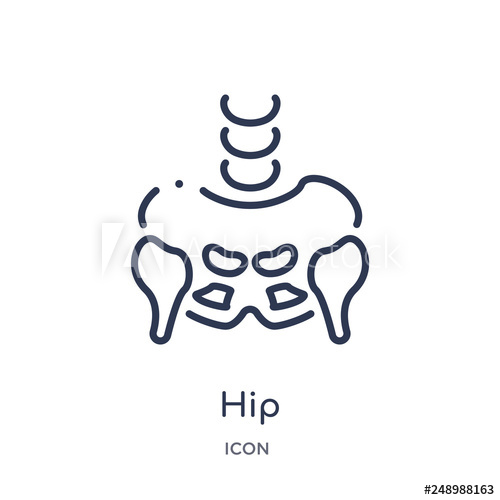 500x500 Hip Icon From People Outline Collection Thin Line Hip Icon