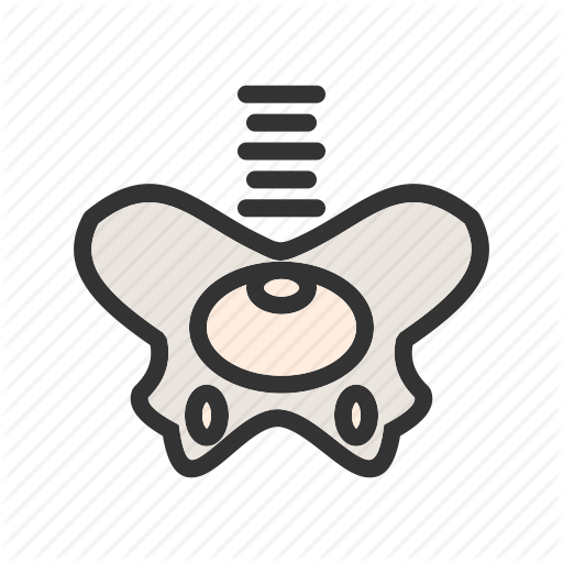 512x512 Anatomy, Hip, Human, Joint, Medical, Pelvis, Skeleton Icon