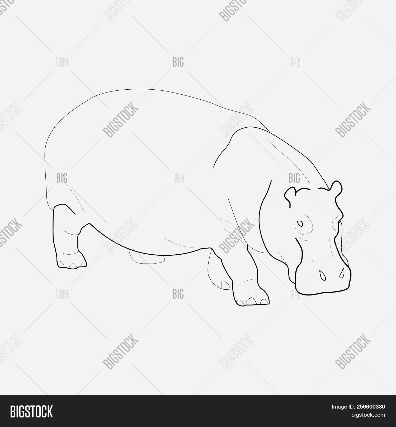 1500x1620 Hippo Icon Line Element Illustration Of Hippo Icon Line