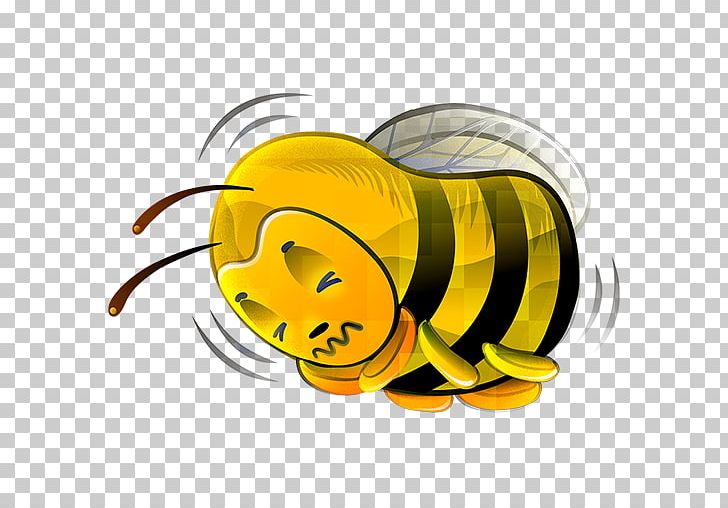 728x508 Bee Euclidean Icon Png, Clipart, Apple Icon Image Format, Bee, Bee