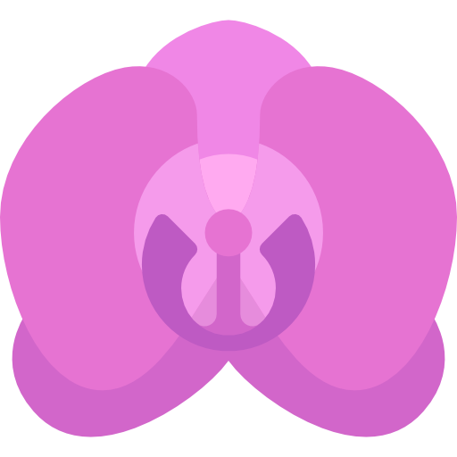 512x512 Orchid