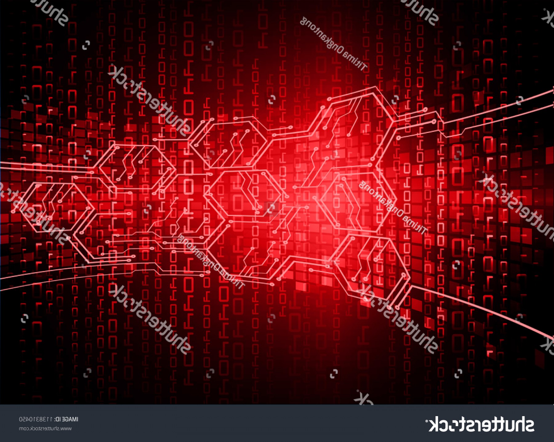 1800x1436 Vector Hoa Boarb Savoyuptown