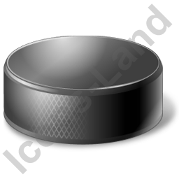 256x256 Ice Hockey Puck Icon, Pngico Icons