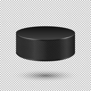 300x300 Ice Hockey Puck Icon Flat Style Vector Wallkeeper
