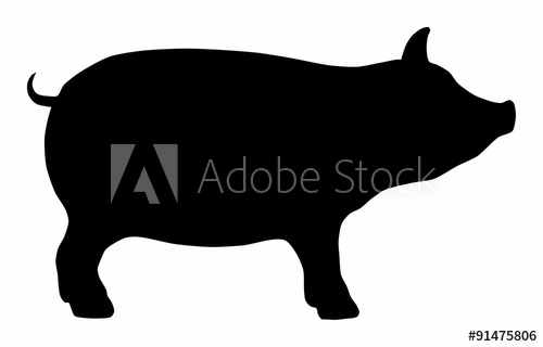 500x320 Pig Hog Pork Icon