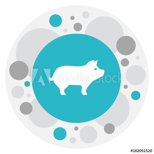 500x500 Vector Illustration Of Zoology Symbol On Hog Icon Premium Quality