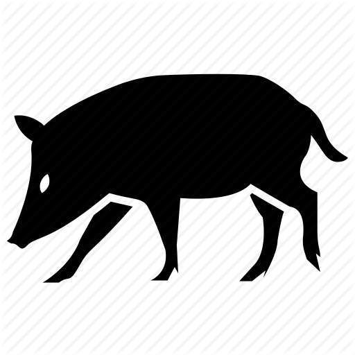512x512 Animal, Boar, Hog, Pig, Warthog Icon