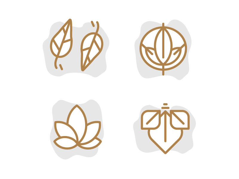 800x600 Holistic Icons