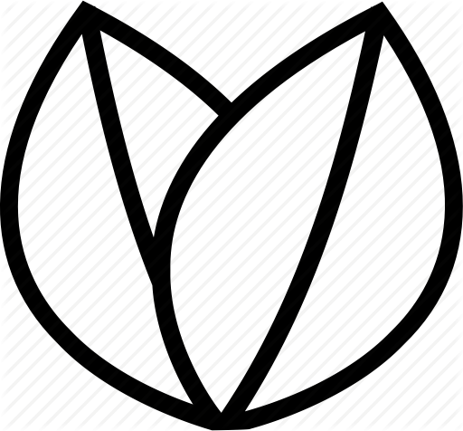 512x476 Beauty, Holistic, Natural, Organic, Plant Based, Vegan Icon