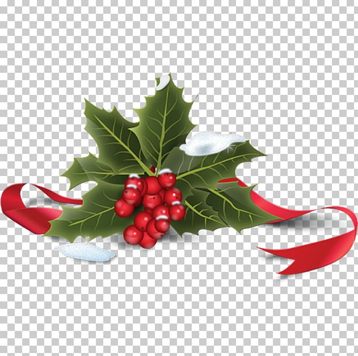 728x724 Common Holly Christmas Icon Png, Clipart, Aquifoliaceae