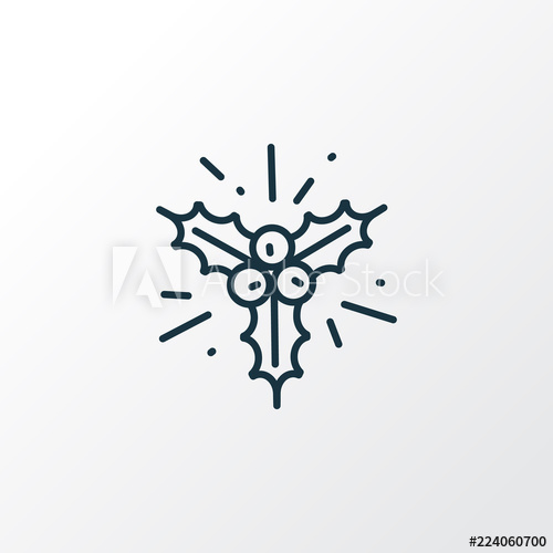 500x500 Holly Icon Line Symbol Premium Quality Isolated Mistletoe Element