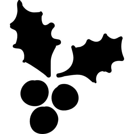 512x512 Holly Leaves With Berries Icons Free Download