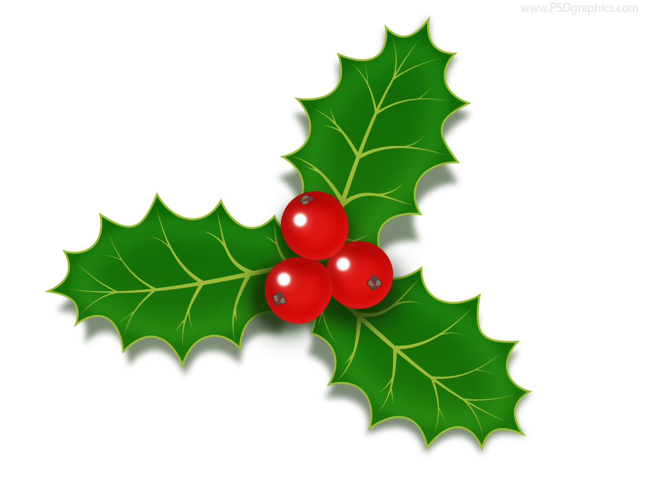 1280x960 Christmas Holly Berries Icon