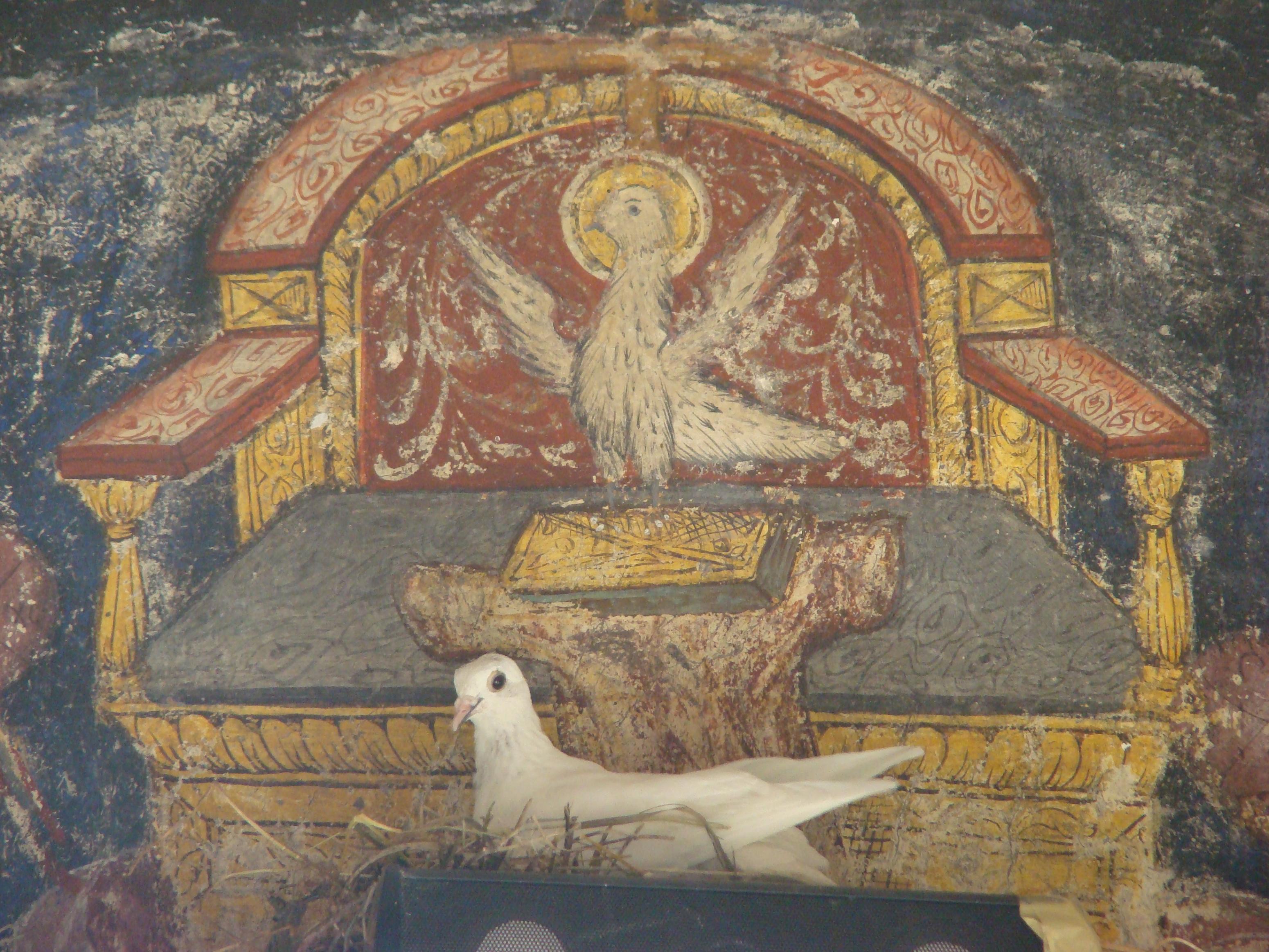 3101x2326 The Holy Spirit As A Dove Nography A Reader's Guide