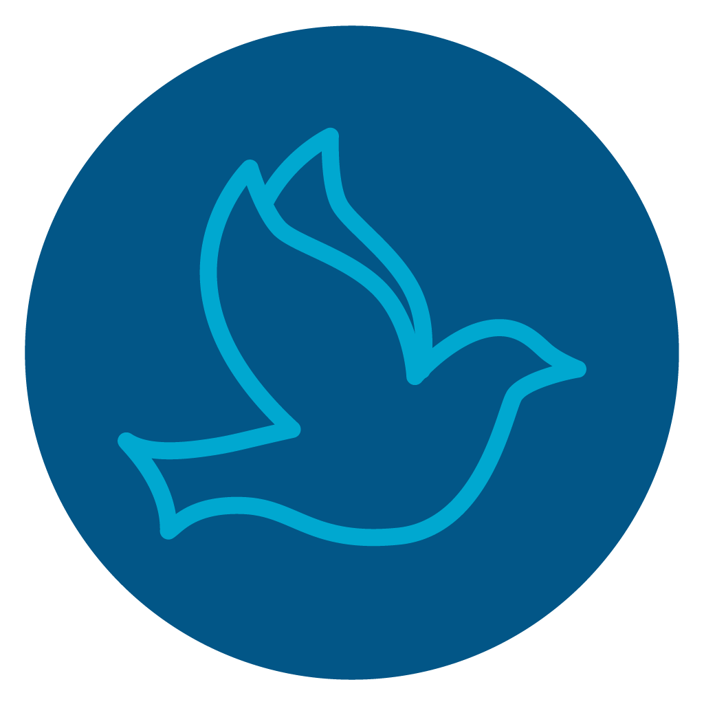 1024x1024 Holy Spirit Iconartboard