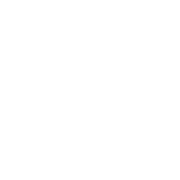 White Home Icon 256x256 White Home Icon