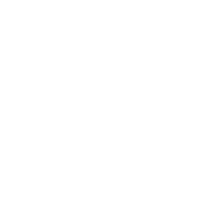 Home Security Icon 300x300 Home Security Icon